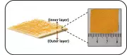 NIT-Rourkela develops smart wound dressing to reduce pain, speed healing