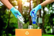 NMMC Collaborates with Experts to Recycle Plaster of Paris Idols
