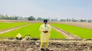 No Farm Fires in 6 Years: How a Farmer Transformed Jatana Village