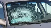 No Negligence for Driver Hitting Unmarked Stationary Truck at Night: SC