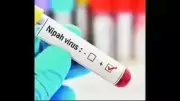 No New Nipah Cases in Kozhikode, Three Admitted for Observation
