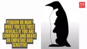 Optical Illusion Reveals If You Are Brave or Empathetic Based on First Sight