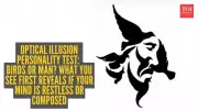 Optical Illusion Reveals Your Mental State: Birds or Face?