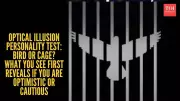 Optical Illusion Reveals Your Nervous System State: Bird or Cage?