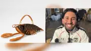 Orry's Rs 17 lakh Louis Vuitton lobster bag steals show on Laughter Chefs