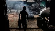 Over 2,300 Child Labourers Rescued in Karnataka in 4 Years