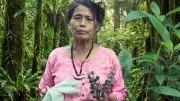 Padma Shri Awardee Yanung Jamoh Lego: The Adi Queen of Herbs Who Has Healed Over 3 Lakh Patients