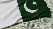 Pakistan Targets Donkey Meat Exports to China for Nutritional Demand