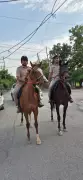 Panchkula Police Launches Mounted Patrols to Boost Crime Control and Save Fuel