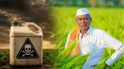 Paraquat Debate: Why India Still Allows Herbicide Banned in 74 Nations