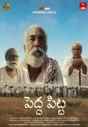 Pedda Pitta: Telugu Drama Thriller Mystery Film Releases June 12