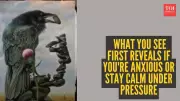 Personality Test: Crow or Man's Face? What You See First Reveals Your Inner Calm or Anxiety