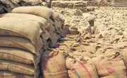 Phagwara trader loses ₹54 lakh in paddy payment fraud, case registered