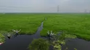 PM Modi Announces Surha Tal as India's 100th Ramsar Site