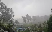 Powerful Nor'wester Hits Bhubaneswar, Cuttack; Trees Uprooted, Vehicles Damaged