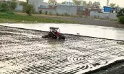 PSPCL Ensures 8-Hour Power Supply for Paddy Transplantation in Jalandhar