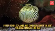 Puffer-Fishing: Why Some People Inflate and Withdraw in Relationships