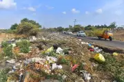 Pune Air Force Station Bird Strike Risk Persists Due to Garbage Mismanagement