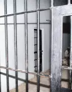 Punjab Govt Doctors Threaten Boycott of Jail Duties Over Harassment