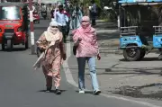 Punjab, Haryana to Sizzle as IMD Forecasts Heatwave Till June 30