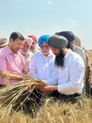 Punjab Professor's Eco-Friendly Farming Revolution in Mutton Village