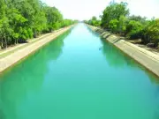 Punjab to Abolish Canal Water Cess to Promote Surface Irrigation