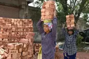 Punjab to Enroll 10 Lakh Construction Workers Free of Cost: CM Mann
