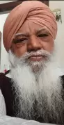 Punjabi Author Dr Harbans Singh Dhiman Dies from Injuries a Week After Accident