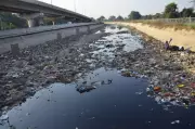 Punjab's Battle Against Single-Use Plastics Falters Despite Bans
