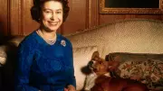 Queen Elizabeth II's Secret Honeymoon Companion: Her Beloved Corgi Susan