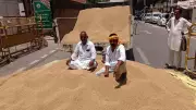 Rajasthan Farmers Protest Wheat MSP Irregularities at Sriganganagar