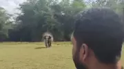 Reckless Youth Drives Jeep at Wild Elephant for Social Media Reel in Chikkamagaluru