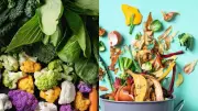 Regrow Kitchen Scraps into Endless Backyard Harvest