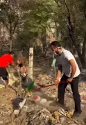 Residents Launch Cleanliness Drive at Historic Nabha Fort in Patiala