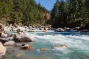 Rs 5 Crore Environmental Compensation Unpaid by Himachal Agencies for River Pollution