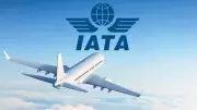 SAF Production to Hit 2.4M Tonnes in 2026, Just 0.8% of Aviation Fuel