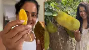 Sameera Reddy Highlights Jackfruit Seeds Benefits: Nutrition, Origins, and Health Perks