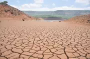 Sangli Irrigation Dept Bans Water Lifting from Koyna Dam for Non-Drinking Uses