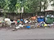 Sanitation Workers' Strike in Nagpur Enters Third Day, Garbage Piles Up