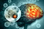 Scientists Develop Targeted Nanocarrier for Breast Cancer Treatment
