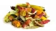 Scrap Appeal: Transforming Food Waste into Culinary Delights