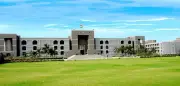 Senior Lawyer Threatens Contempt Over Stray Dogs in Gujarat HC Campus
