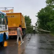 Severe Storms Lash Punjab, Haryana, Himachal; Red Alert Issued