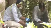 Severed Head Found Near Patna Railway Tracks, Linked to Earlier Body Discovery