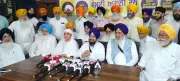 SGPC selectively implementing Akal Takht orders, alleges Giani Harpreet