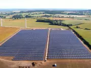 Sheep Graze Under Solar Panels in UK's Agrivoltaics Push
