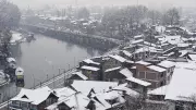 Snow, Struggle, and Survival: Gujjar-Bakerwal Nomads Face Disrupted Migration in J&K