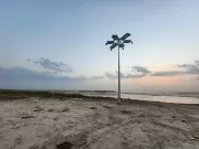Solar Floodlights at Nalsarovar Bird Sanctuary Raise Alarm Among Conservationists