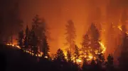 Southeastern Europe Wildfires: Heatwave Sparks Blazes on Vis Island