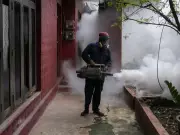Sri Lanka Reports Over 1,000 Dengue Cases in 24 Hours Amid Waste Crisis